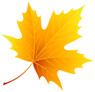 Maple Leaf